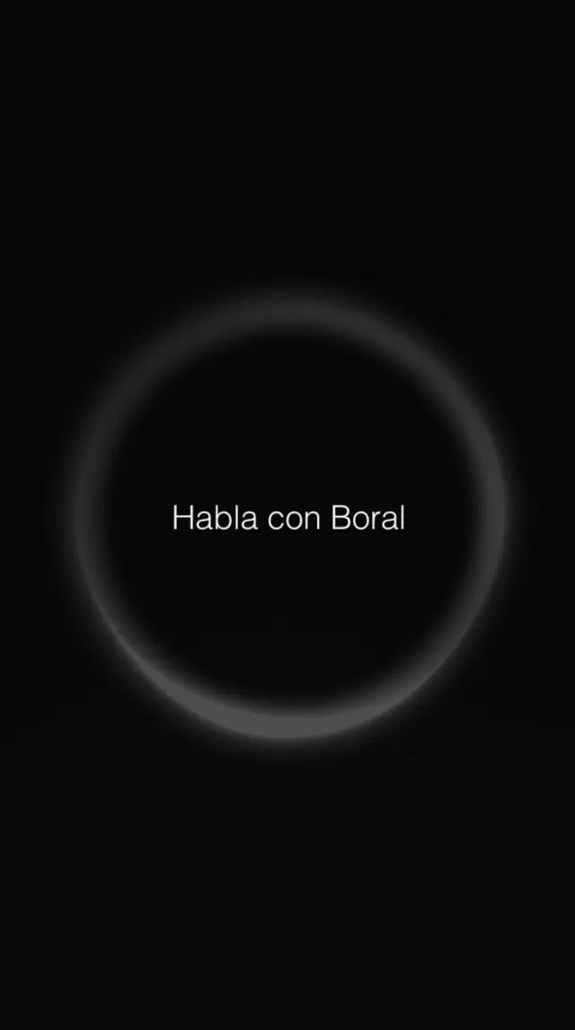 Boral voice screen ready to receive an instruction.