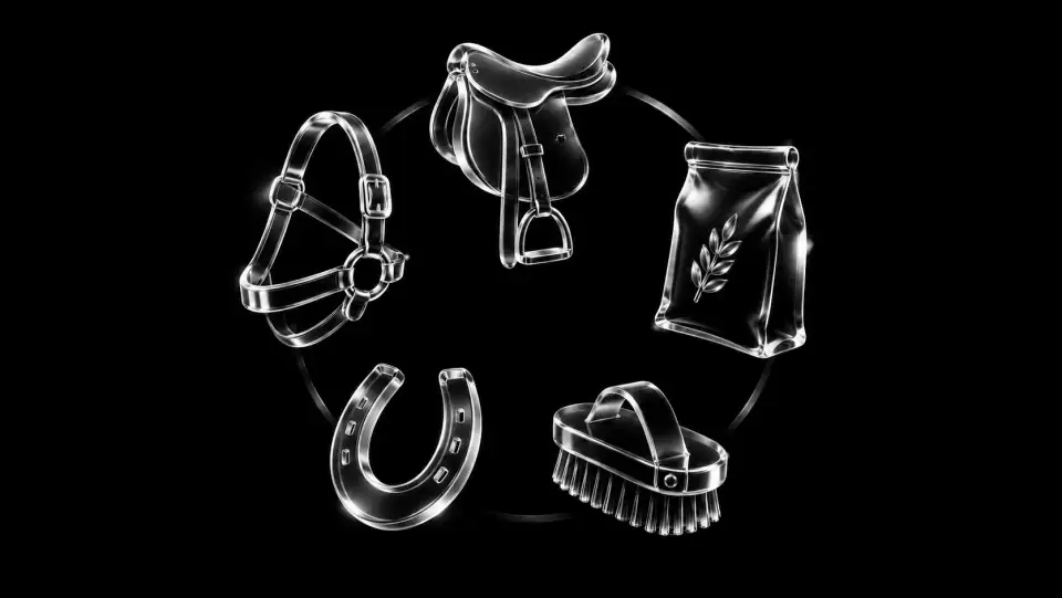 Transparent riding equipment and feed icons